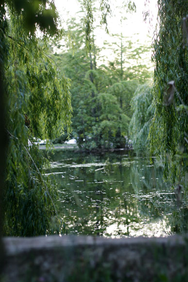 Photo ambiance Mariage Gemenos